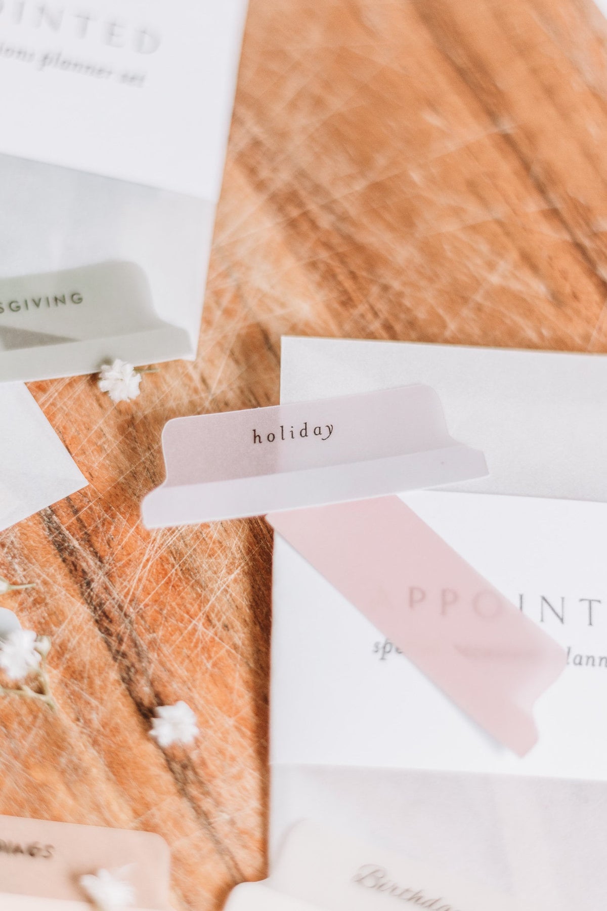 Minimalist 'Special Occasions' Planner Tab Set | Vellum | Beautiful, Simple, Cute Divider Tab Stickers | Translucent Planner Set | Adhesive