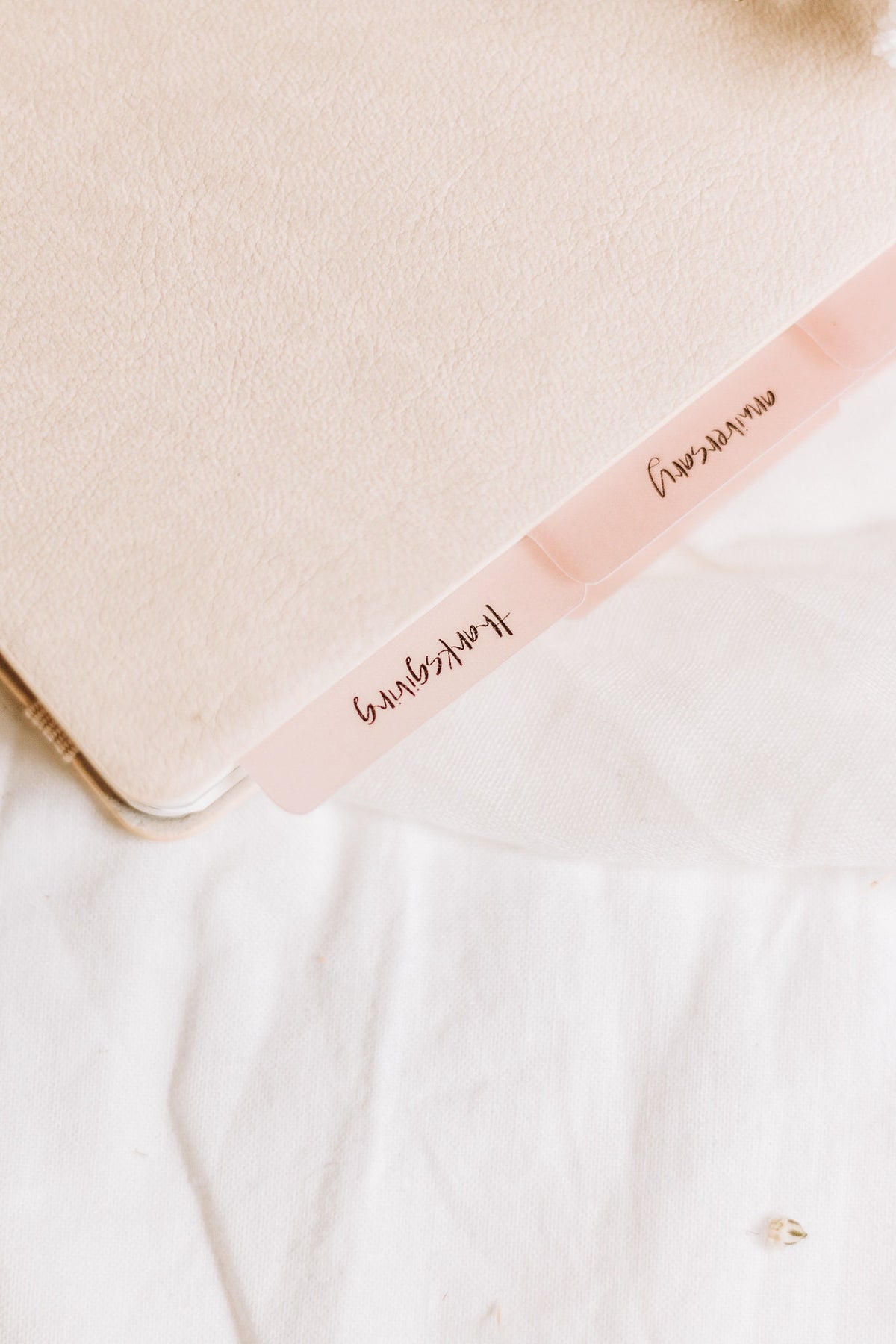 Minimalist 'Special Occasions' Planner Tab Set | Vellum | Beautiful, Simple, Cute Divider Tab Stickers | Translucent Planner Set | Adhesive
