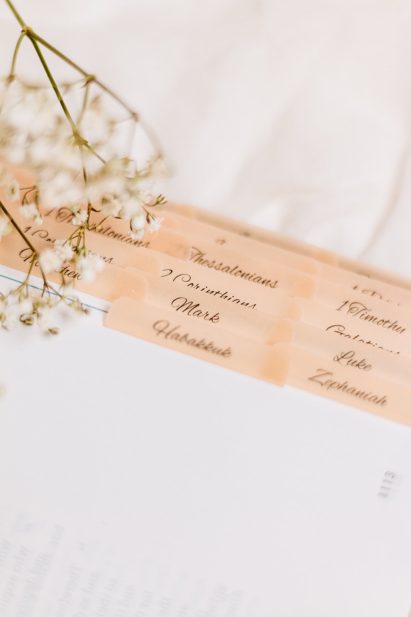 Minimalist Catholic Bible Tabs | Vellum | Beautiful, Simple Index Stickers | Journaling Supplies | Neutral, Boho, Minimal | Adhesive |