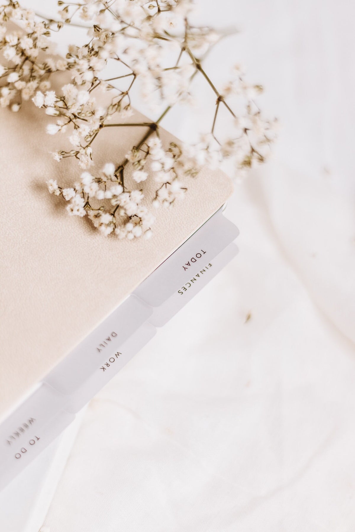 Minimalist Basic Planner Tab Set | Vellum | Beautiful, Simple, Cute Divider Tab Stickers | Translucent Planner Set | Adhesive