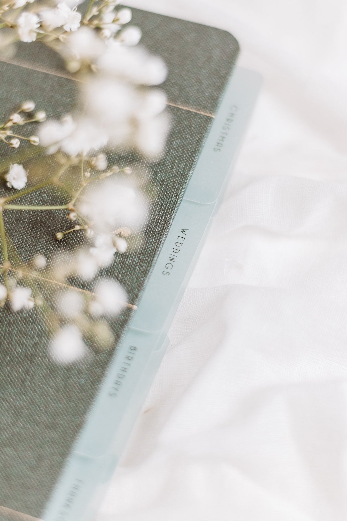 Minimalist 'Special Occasions' Planner Tab Set | Vellum | Beautiful, Simple, Cute Divider Tab Stickers | Translucent Planner Set | Adhesive
