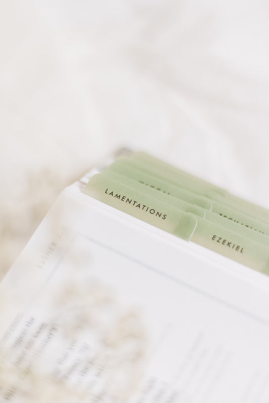 Minimalist Catholic Bible Tabs | Vellum | Beautiful, Simple Index Stickers | Journaling Supplies | Neutral, Boho, Minimal | Adhesive |