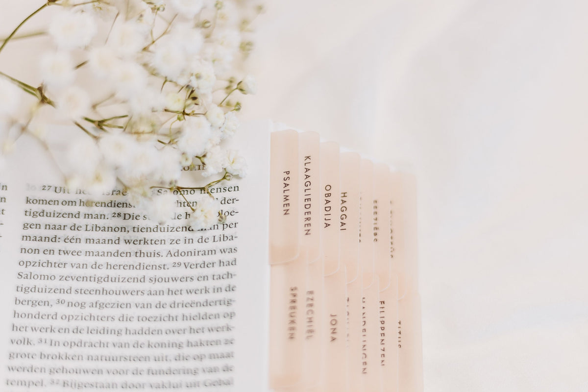 DUTCH/NEDERLANDSE Bijbeltab Stickers | Minimalist | Velijn Papier | Beautiful, Simple & Cute Vellum Index Stickers | Journaling Supplies