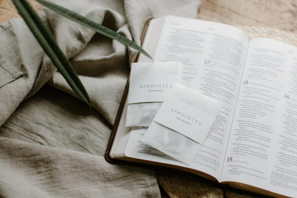 MINI Minimalist Bible Tabs | Vellum | Beautiful, Simple & Cute Vellum Index Stickers | Journaling Supplies | Neutral, Boho | Adhesive
