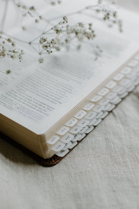 MINI Minimalist Bible Tabs | Vellum | Beautiful, Simple & Cute Vellum Index Stickers | Journaling Supplies | Neutral, Boho | Adhesive