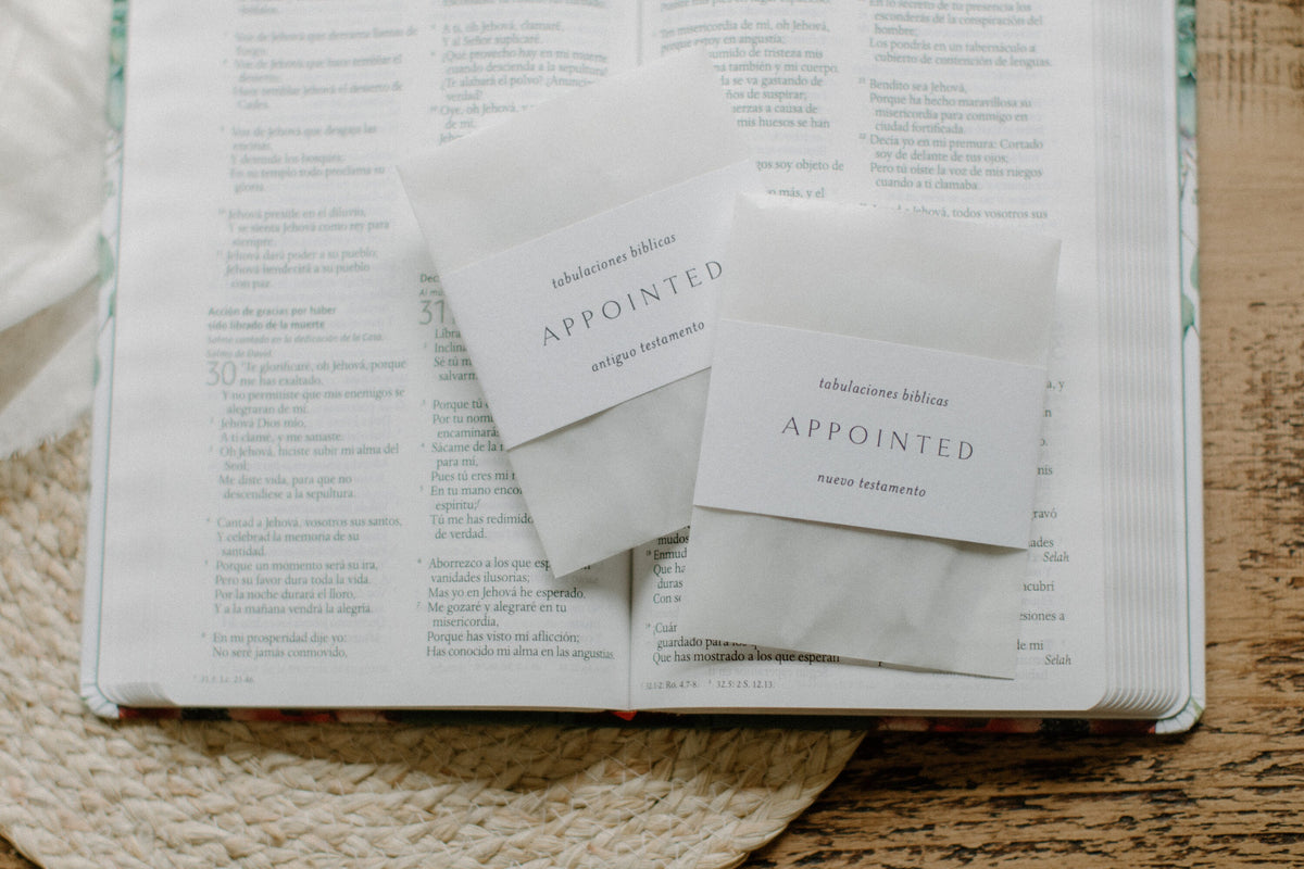 SPANISH/ESPAÑOL Minimalist Bible Tabs | Vellum | Beautiful & Simple Vellum Index Stickers | Journaling Supplies | Neutral, Boho | Adhesive