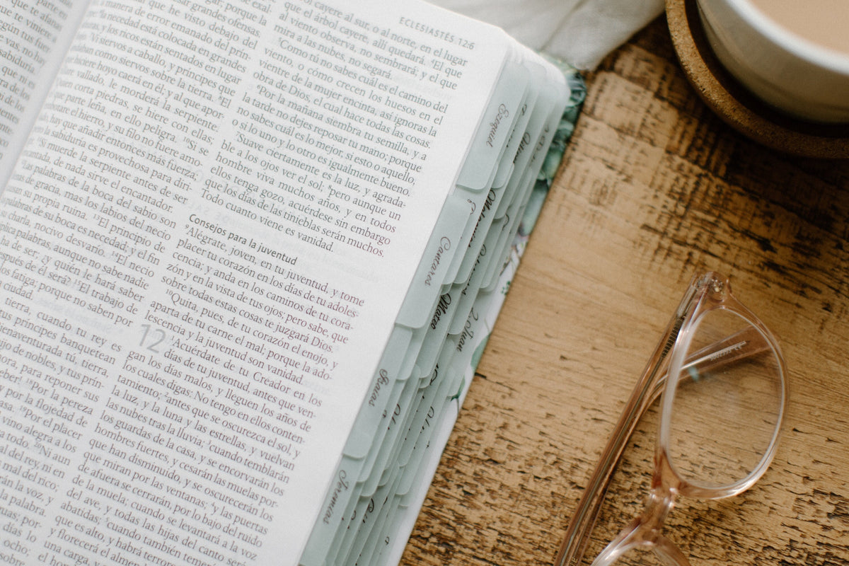 SPANISH/ESPAÑOL Minimalist Bible Tabs | Vellum | Beautiful & Simple Vellum Index Stickers | Journaling Supplies | Neutral, Boho | Adhesive