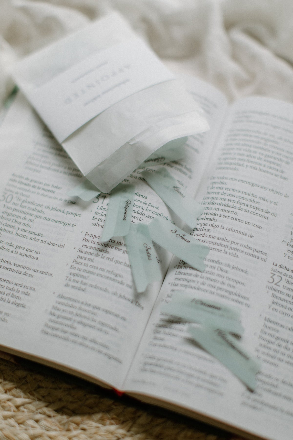SPANISH/ESPAÑOL Minimalist Bible Tabs | Vellum | Beautiful & Simple Vellum Index Stickers | Journaling Supplies | Neutral, Boho | Adhesive