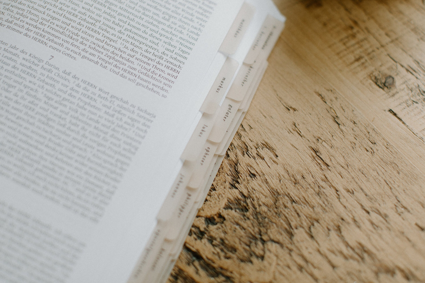 GERMAN/DEUTSCH Minimalist Bible Tabs | Bibelregister Deutsch | Vellum | Beautiful & Simple Vellum Index Stickers | Neutral, Boho | Adhesive