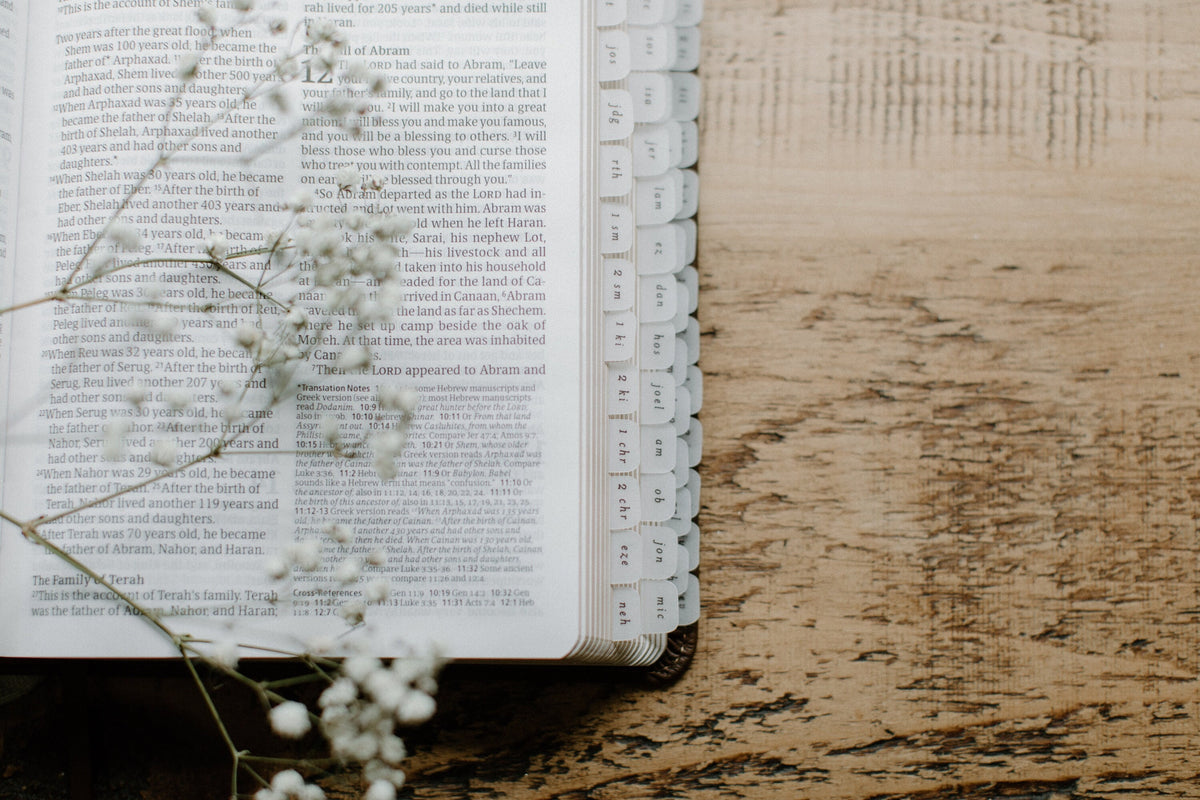 MINI Catholic Minimalist Bible Tabs | Vellum | Beautiful, Simple Cute Vellum Index Stickers | Journaling Supplies | Neutral, Boho | Adhesive