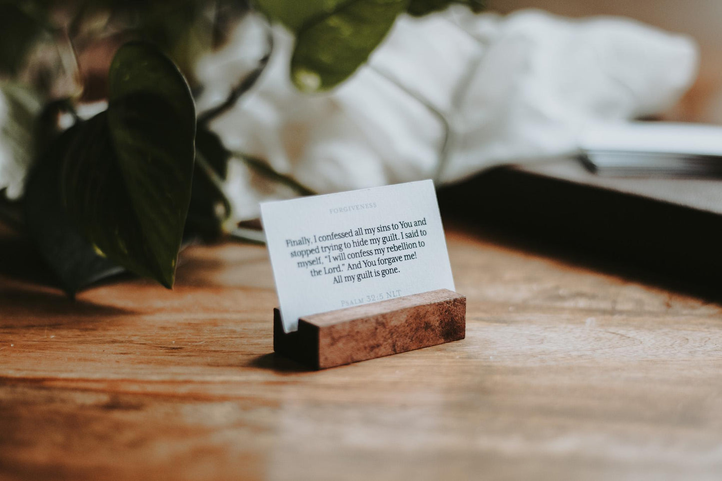 21 Themed Bible Verse Cards & Wooden Stand | Scripture Memorisation Pack | Christian Memory Cards | Men, Women | Gift