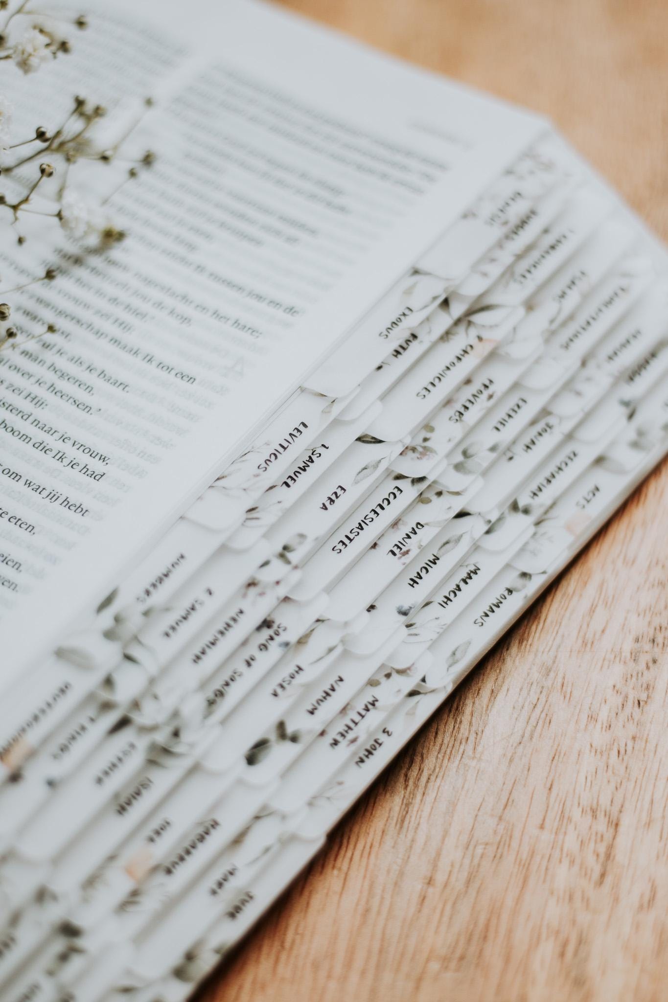 NEW Floral Minimalist Bible Tabs | Vellum | Beautiful, Simple & Cute Vellum Index Stickers | Journaling Supplies | Neutral, Boho | Adhesive