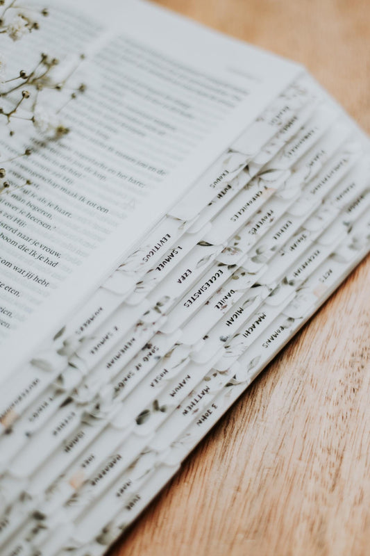 NEW Floral Minimalist Bible Tabs | Vellum | Beautiful, Simple & Cute Vellum Index Stickers | Journaling Supplies | Neutral, Boho | Adhesive