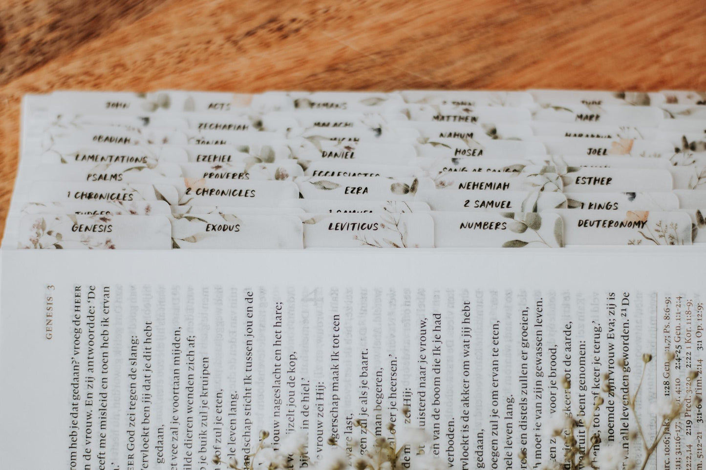 NEW Floral Minimalist Bible Tabs | Vellum | Beautiful, Simple & Cute Vellum Index Stickers | Journaling Supplies | Neutral, Boho | Adhesive