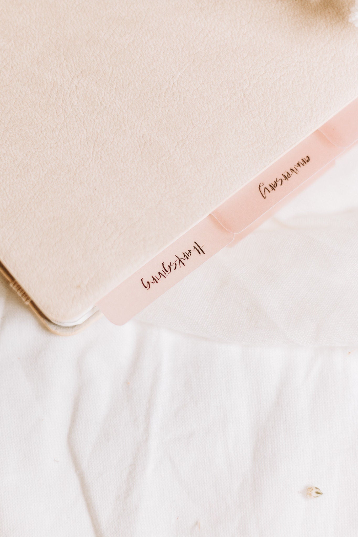 Minimalist 'Special Occasions' Planner Tabs