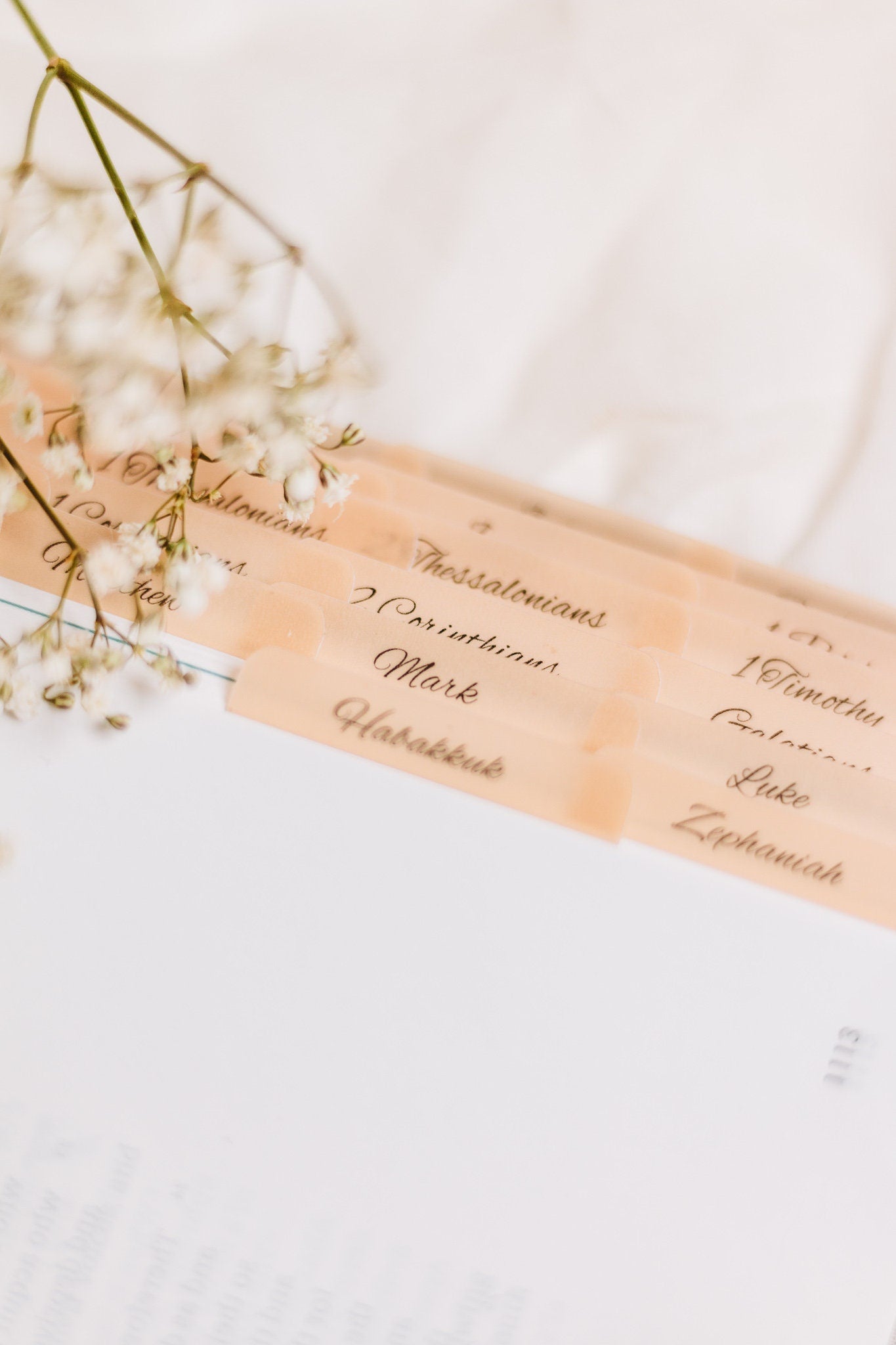 Minimalist Catholic Bible Tabs