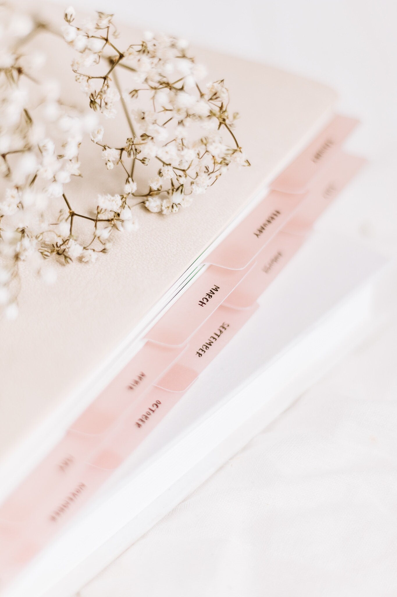 Additional/Bespoke Vellum Tabs