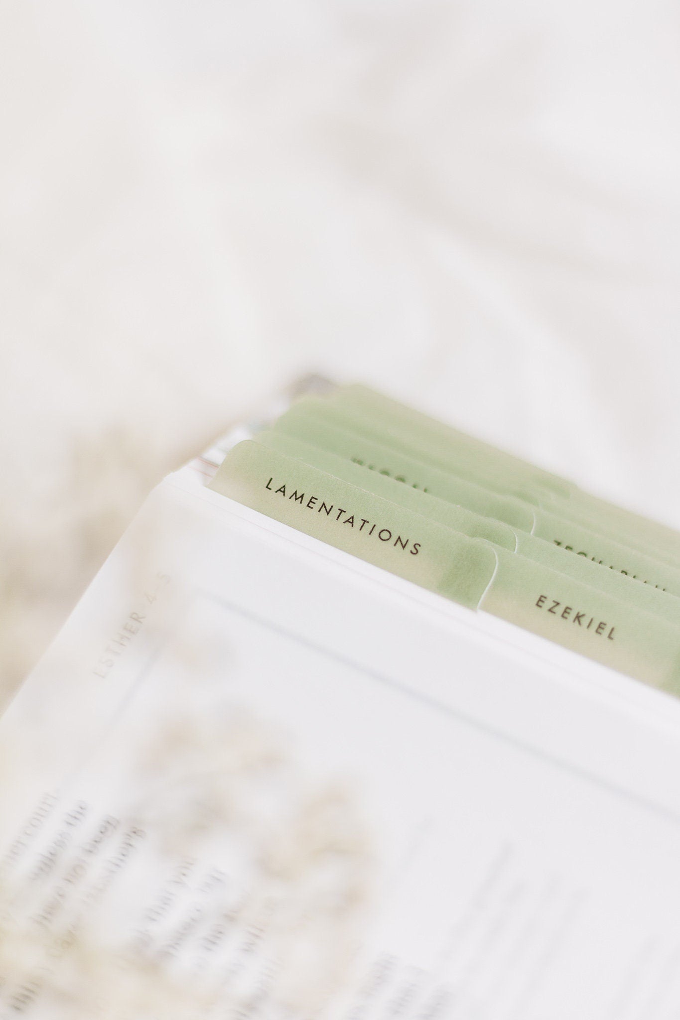 Minimalist Catholic Bible Tabs