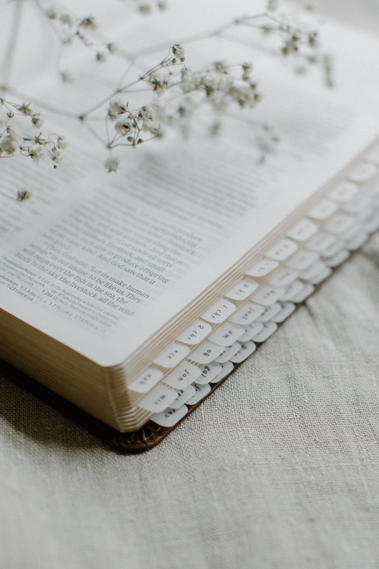 MINI Catholic Minimalist Bible Tabs