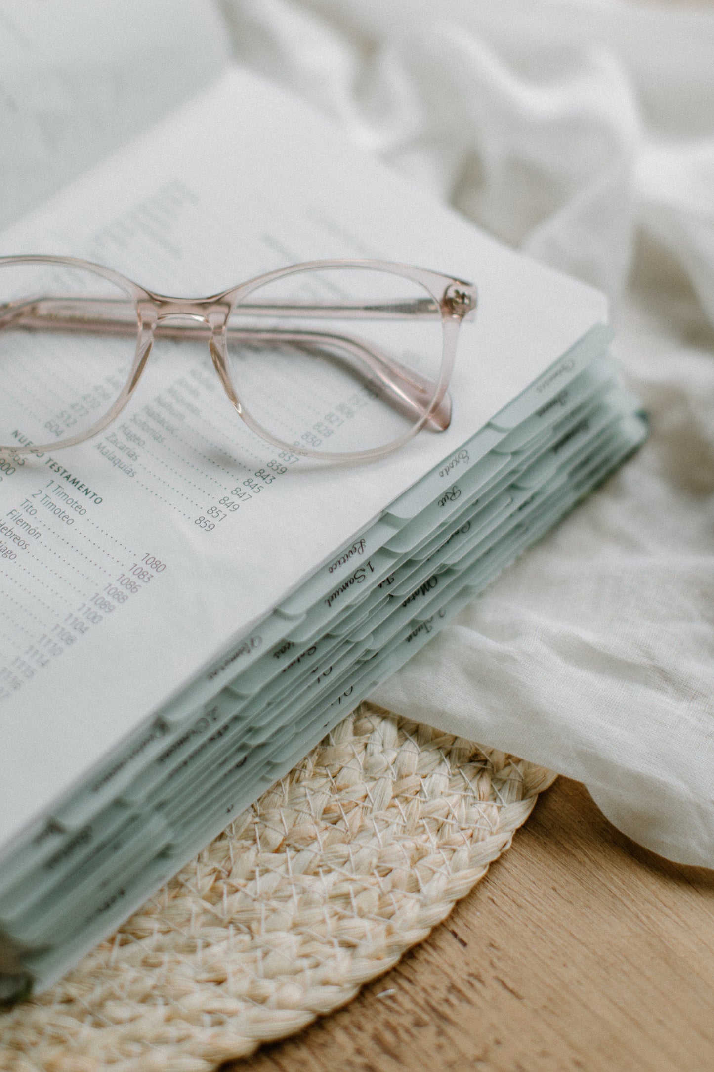 SPANISH/ESPAÑOL Minimalist Bible Tabs